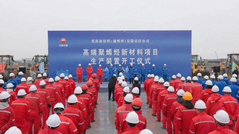 无机化工原料价格走势：影响因素与未来展望**